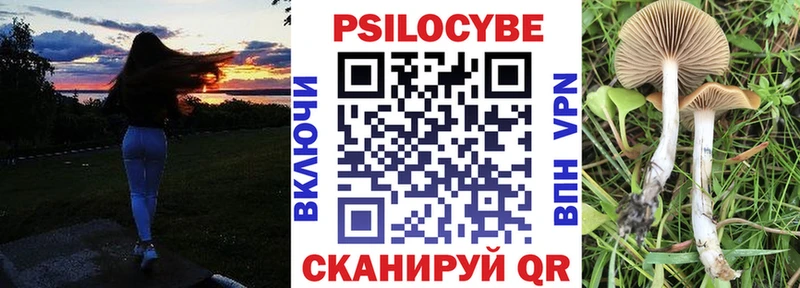 Псилоцибиновые грибы MAGIC MUSHROOMS  Закаменск 